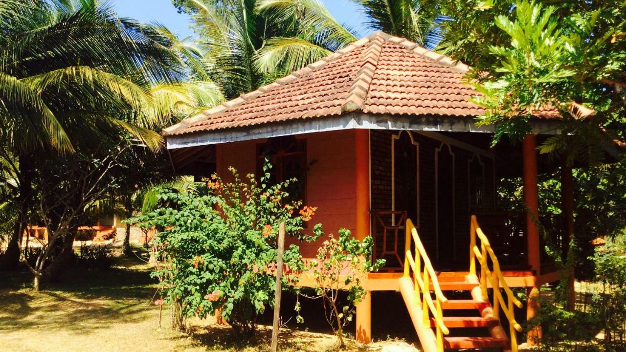 绿色花园小屋度假村 坦加拉 外观 照片
