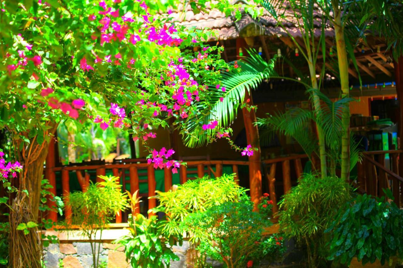 绿色花园小屋度假村 坦加拉 外观 照片