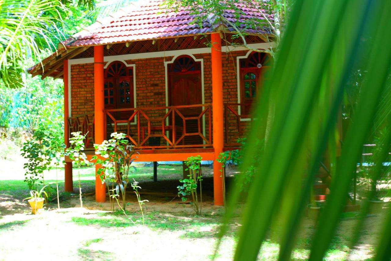 绿色花园小屋度假村 坦加拉 外观 照片