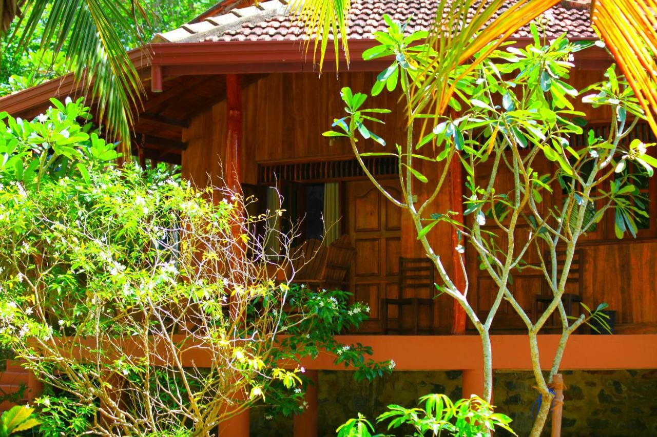 绿色花园小屋度假村 坦加拉 外观 照片