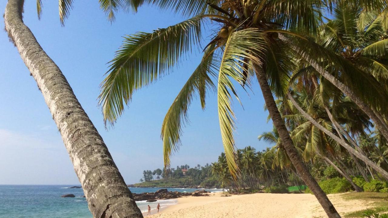 绿色花园小屋度假村 坦加拉 外观 照片