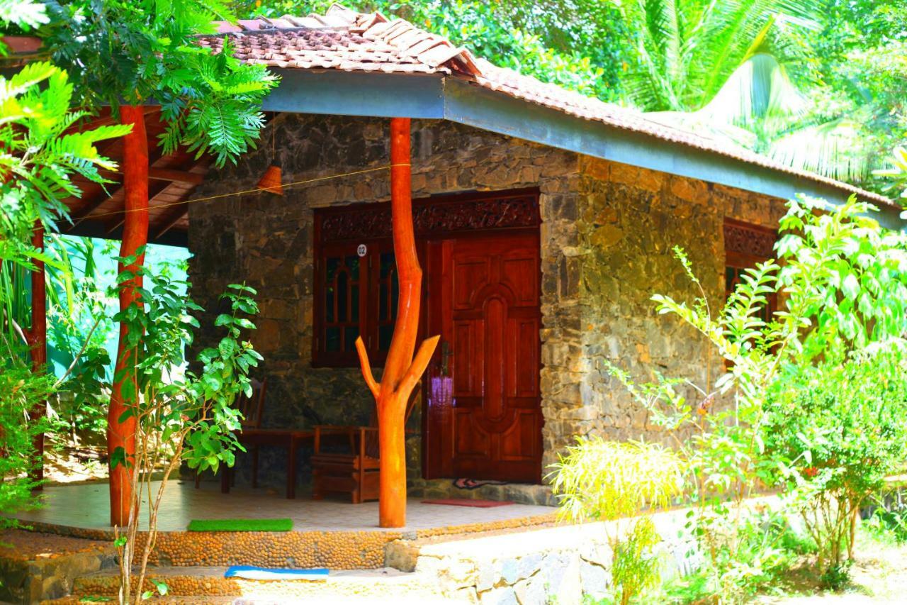 绿色花园小屋度假村 坦加拉 外观 照片