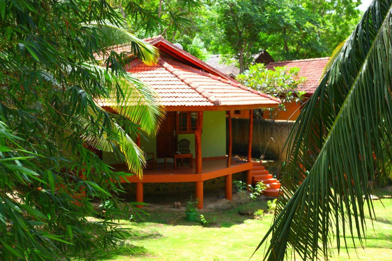 绿色花园小屋度假村 坦加拉 外观 照片