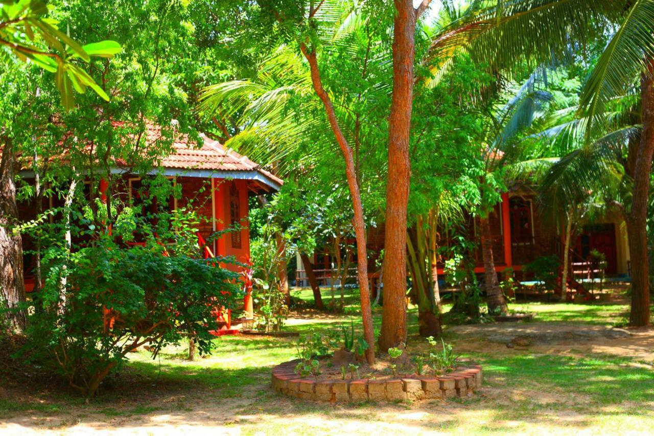 绿色花园小屋度假村 坦加拉 外观 照片