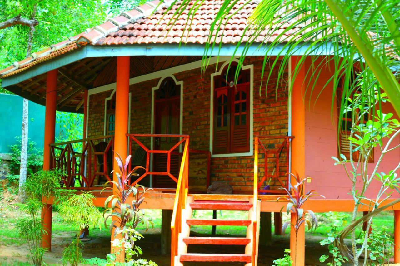 绿色花园小屋度假村 坦加拉 外观 照片