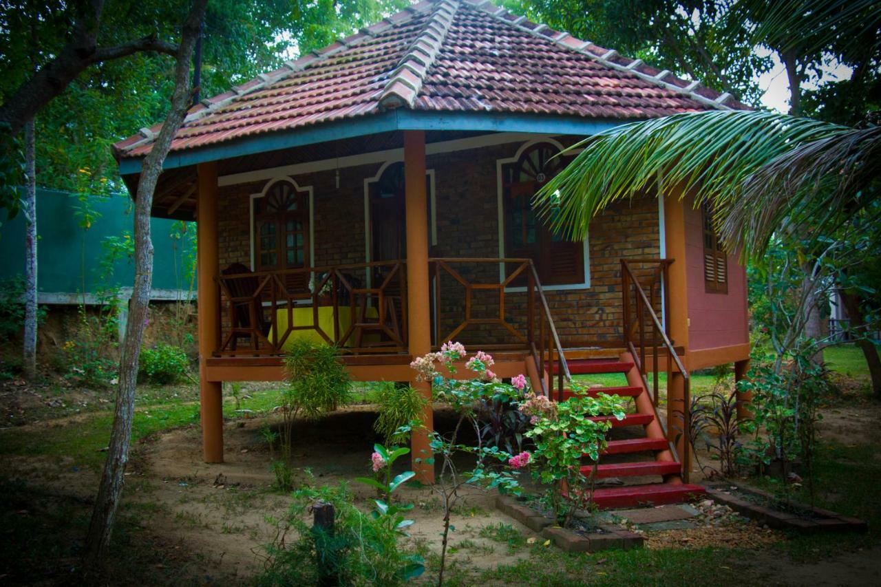 绿色花园小屋度假村 坦加拉 外观 照片